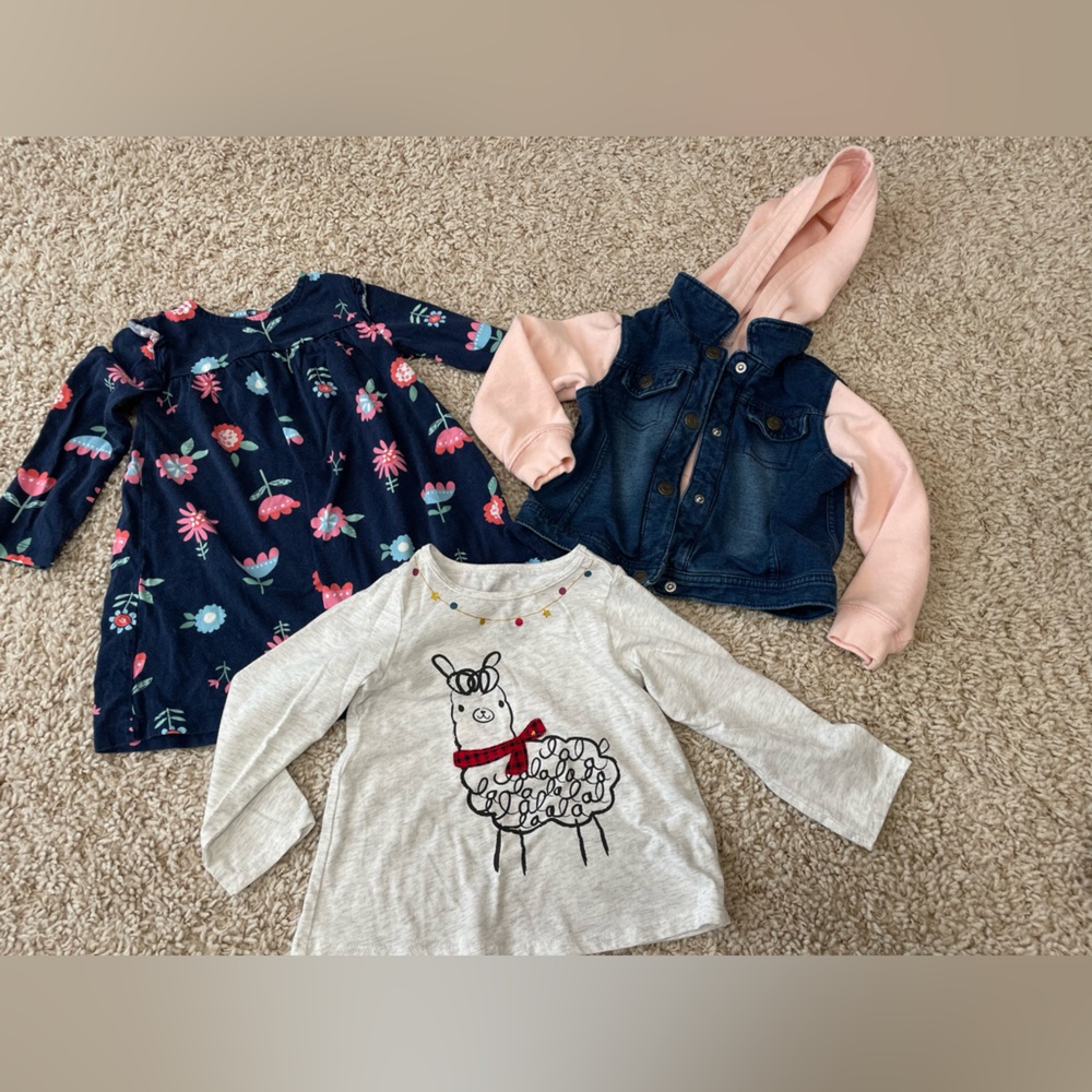Toddler girl 24 month too bundle - llama shirt, blue floral dress, denim hoodie